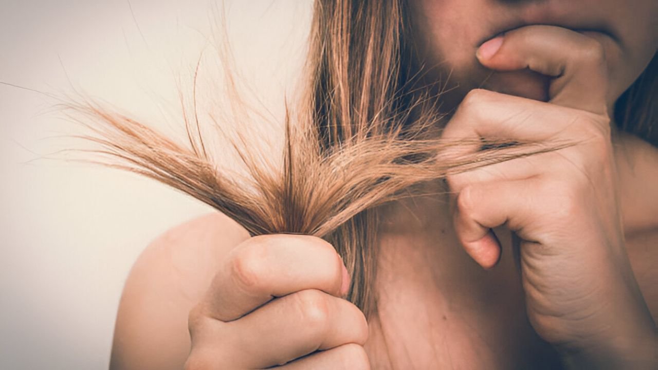 Coconut Oil vs. Argan Oil: What’s Better for Damaged Hair?